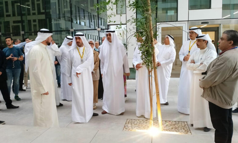 جامعة الكويت