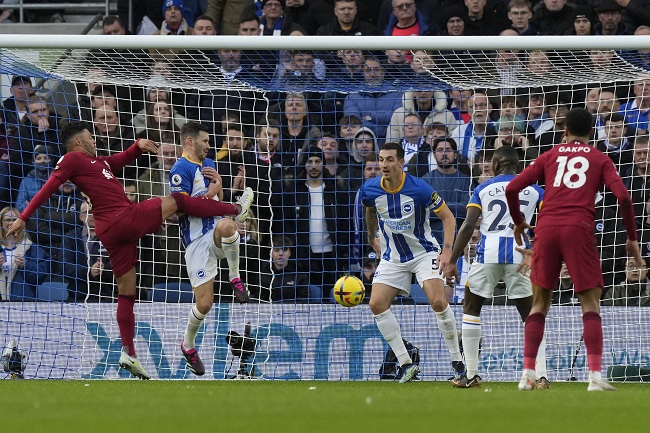 ليفربول وبرايتون بالدوري الإنجليزي